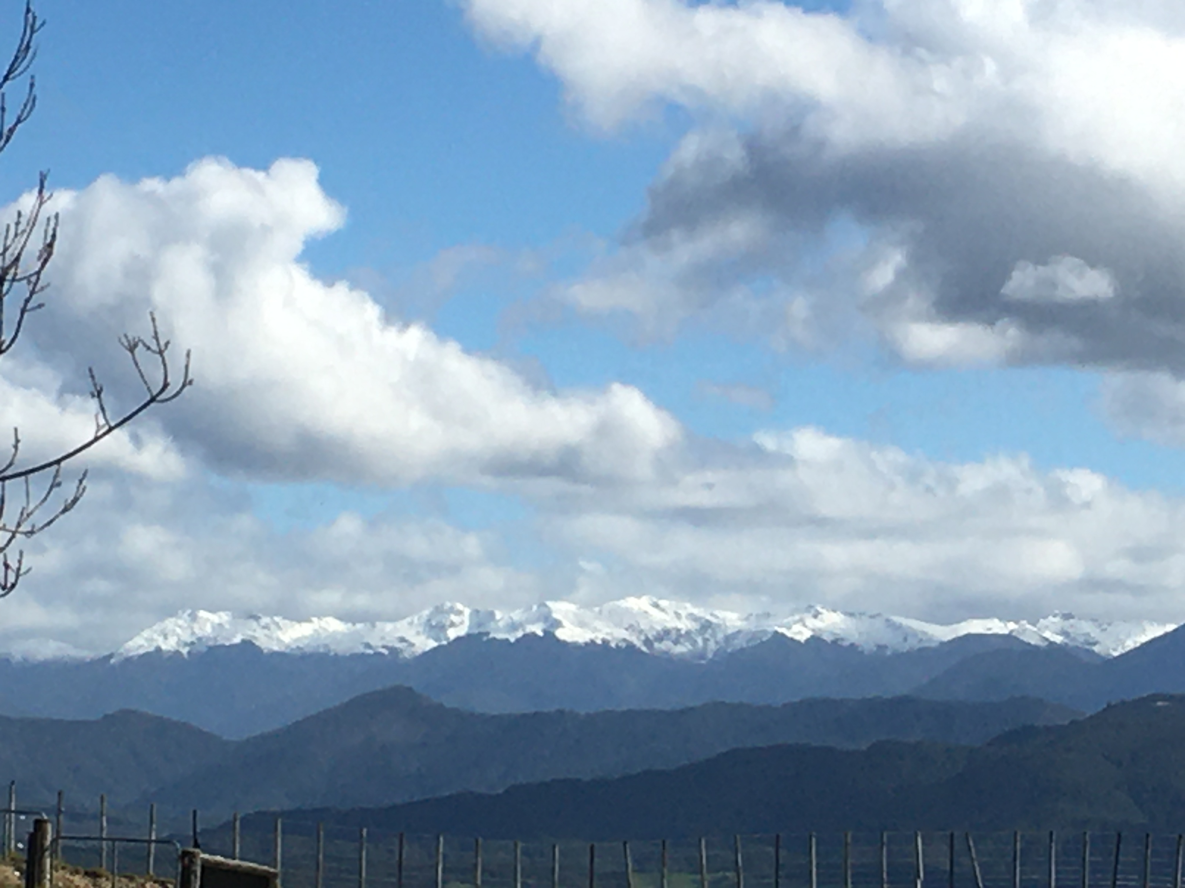 Mt Arthur (Tuao Wharepapa)