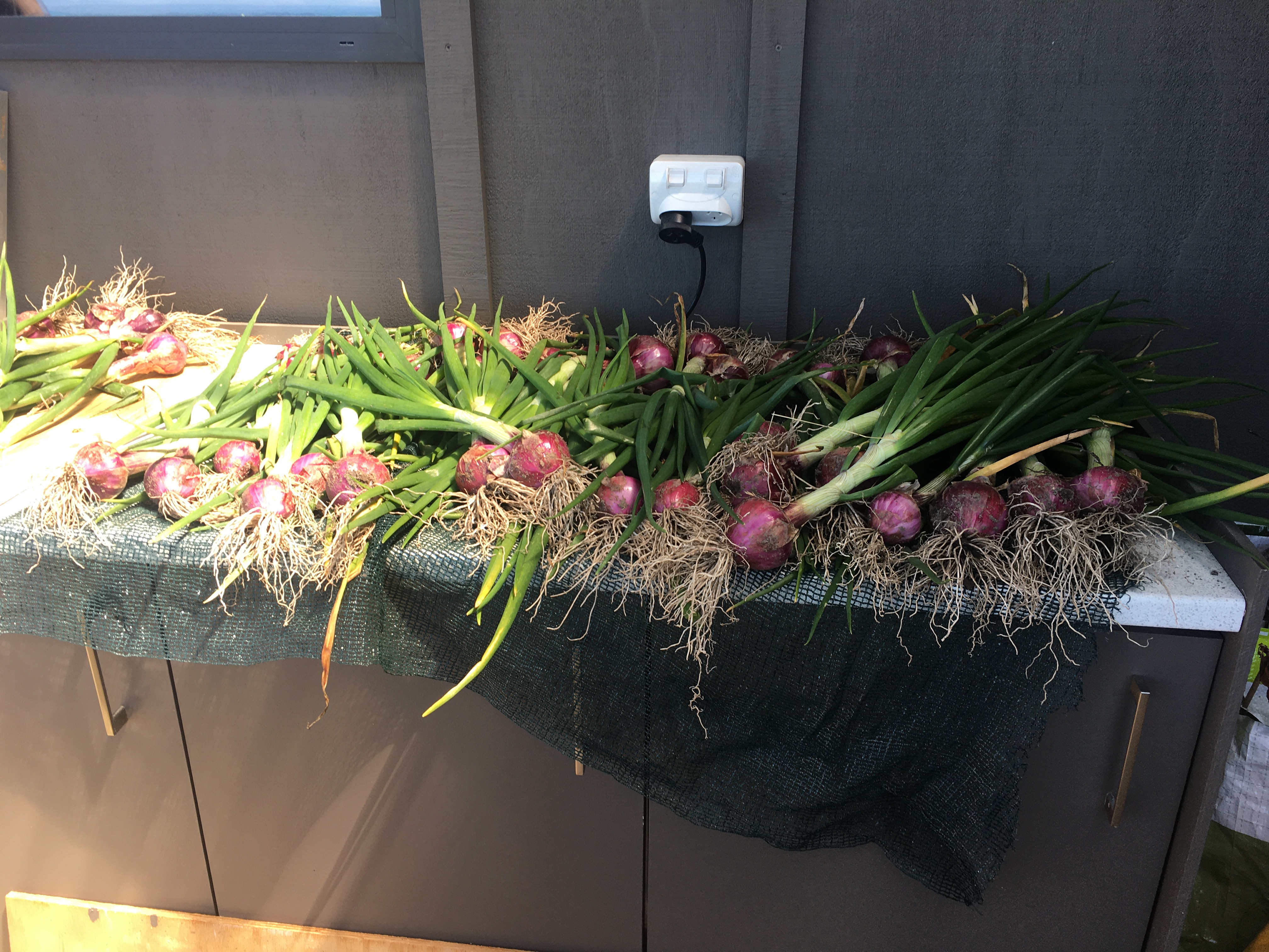 More produce