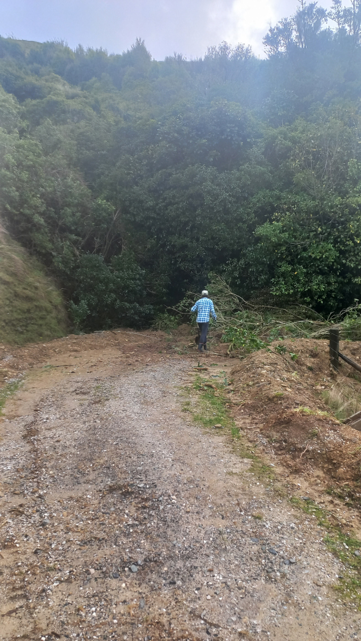 South gully road blocked again